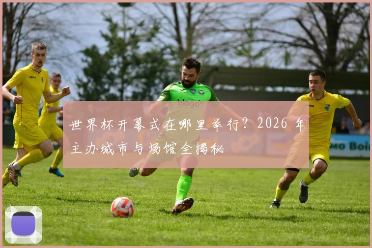 世界杯开幕式在哪里举行？2026 年主办城市与场馆全揭秘