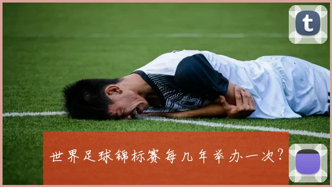 世界足球锦标赛每几年举办一次？