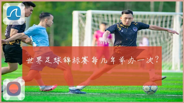 世界足球锦标赛每几年举办一次？